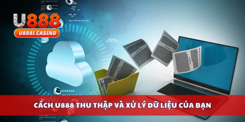 Cách thu thập và xử lý dữ liệu của bạn